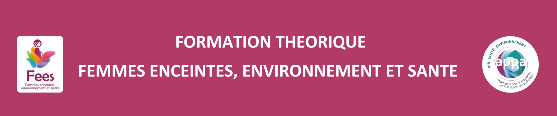 Formation FEES – Femmes Enceintes, Environnement et Santé